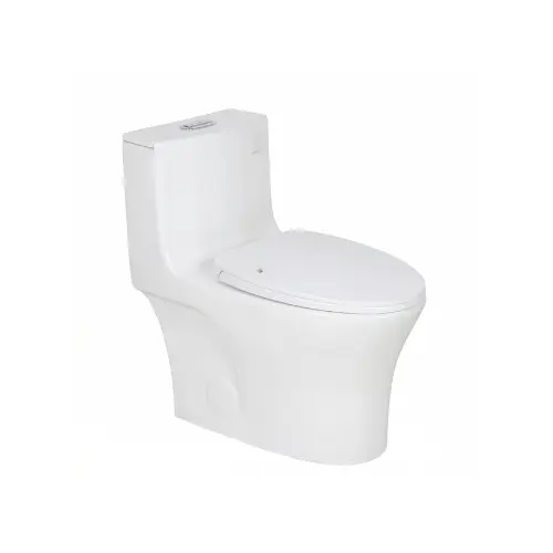 A siphonic one piece